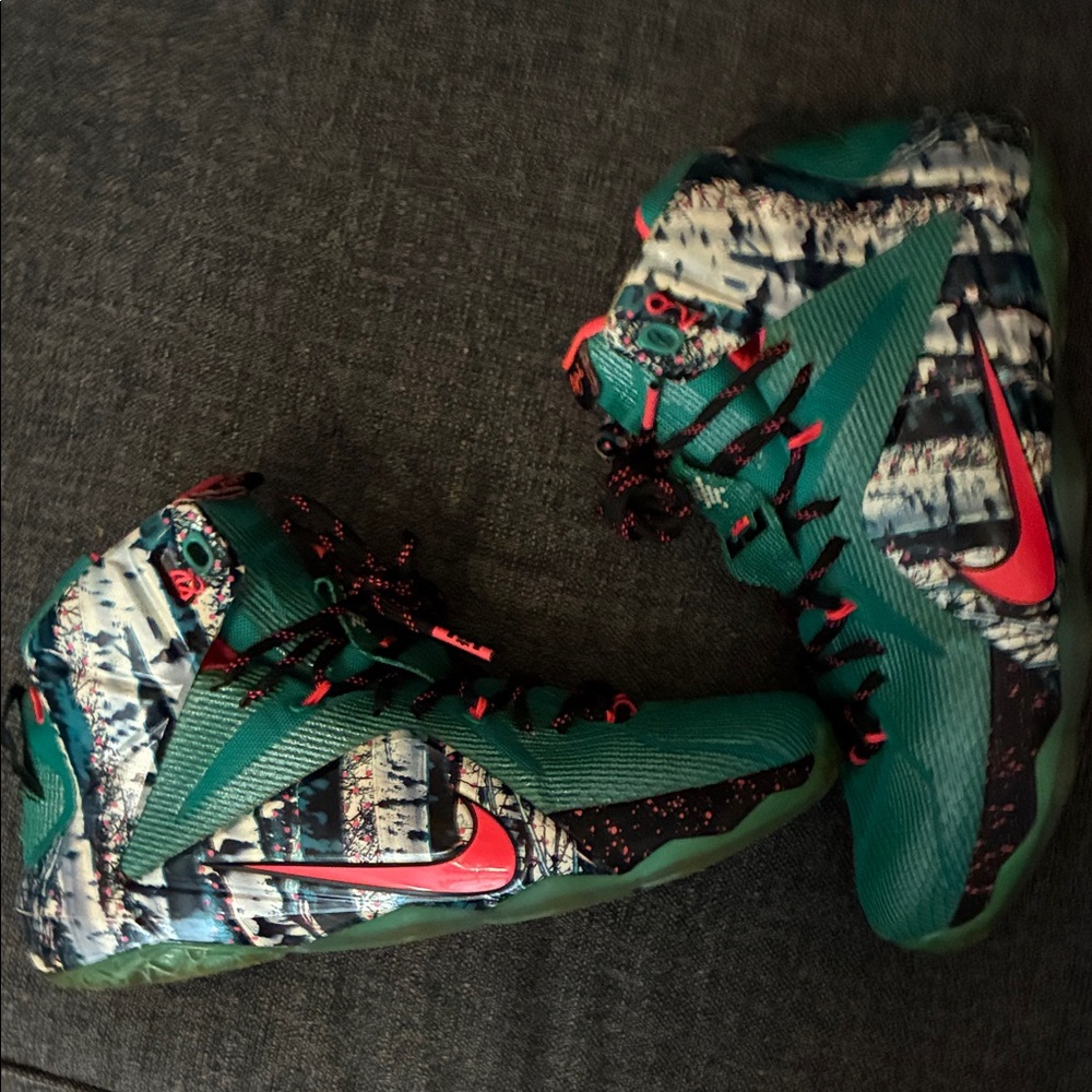 LeBron 12 Akron Birch